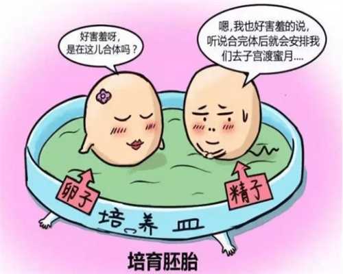 北京哪里医院有正规的供卵试管（北京哪家医院做试管婴儿最权威医院）